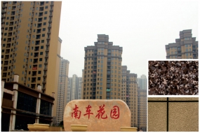 武漢-南車花園——仿大理石漆、砂壁漆