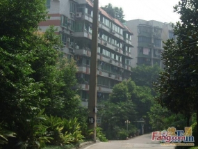 帝豪名都——外墻保溫砂漿、外墻彈性漆